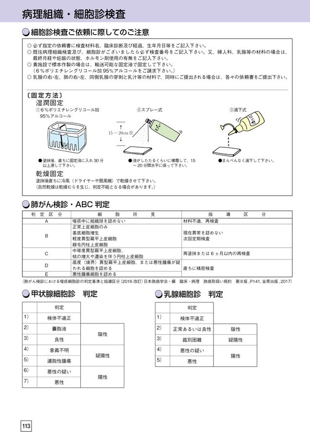 尿細胞診報告様式パリシステム 検査案内2024